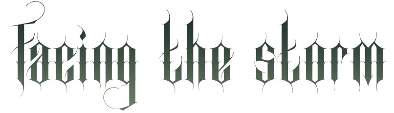 Facing the Storm Facing the Storm